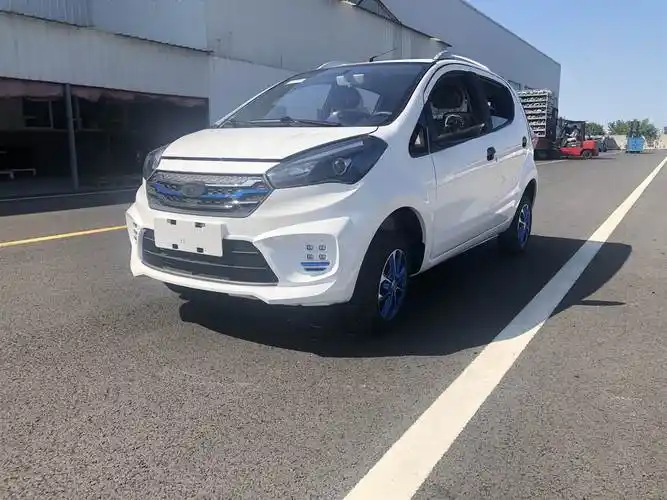 道爵酷越s电动四轮车油电两用四轮电动车低速微型电动代步车