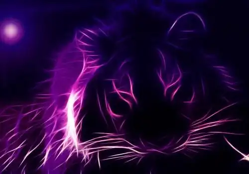 霸气创意老虎个性图片野性炫酷老虎设计