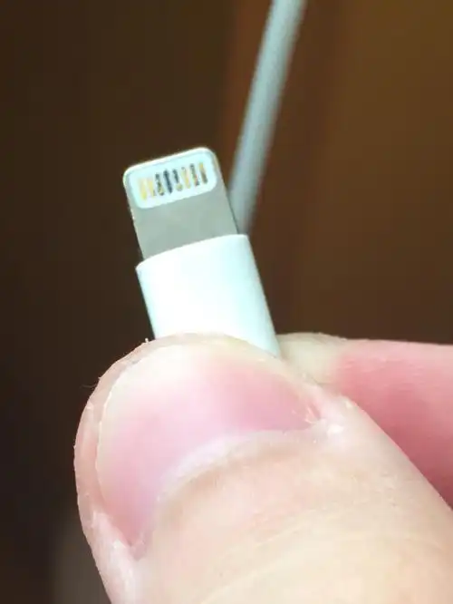 充电线头粘了苔藓怎么去除?擦不掉,充电也充不上.