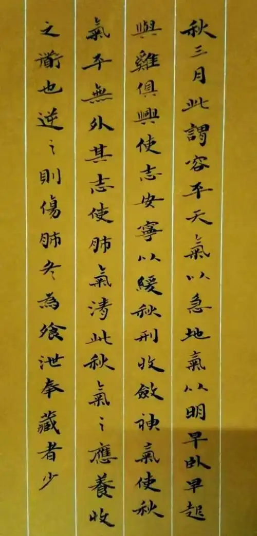 在中国书坛的女性书法家中,从来不缺小楷书法家,即是说,小楷是女性