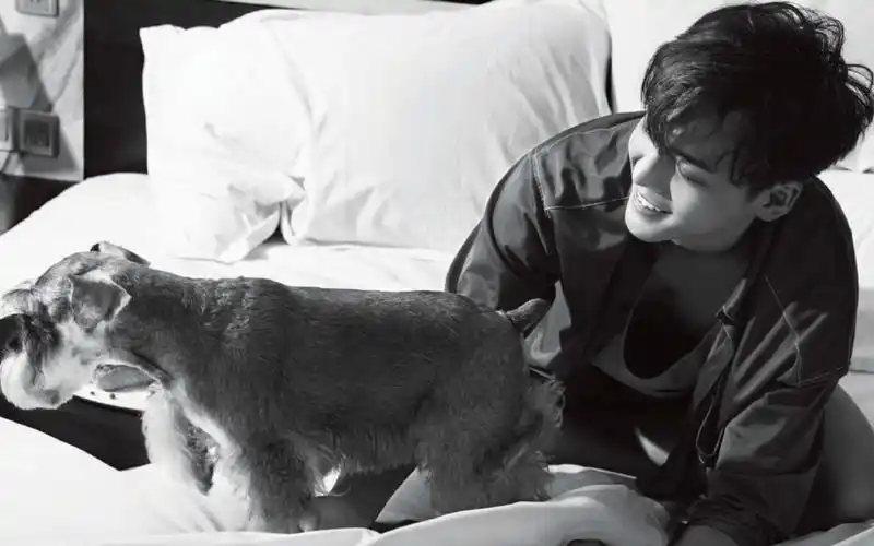 帅哥陈伟霆清晨慵懒迷人写真图片桌面壁纸