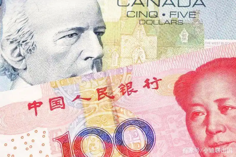 加拿大移民 l 加币兑人民币暴涨至5.28 花旗(中国) 暂停跨境速汇!