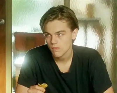 莱昂纳多 小李子 心之全蚀 篮球日记 罗密欧与朱丽叶 男头 泰坦尼克号