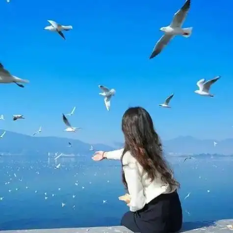 背影 大海背影背影头像女生头像带字伤感黑白意境海边长发美女背影