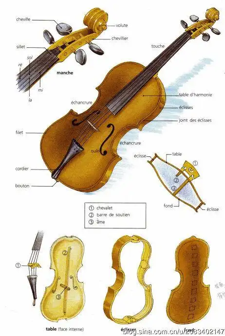 小提琴的结构及组成部件