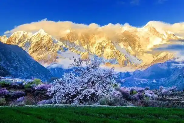 林芝地区位于西藏自治区的东南部,这里有着世界上最美雪山之一的