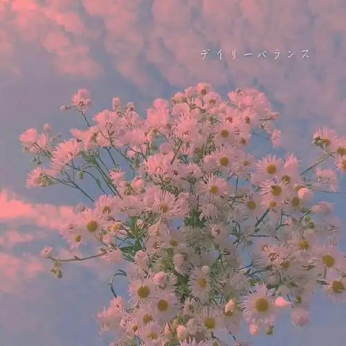 花草城市ins壁纸背景图侵权删