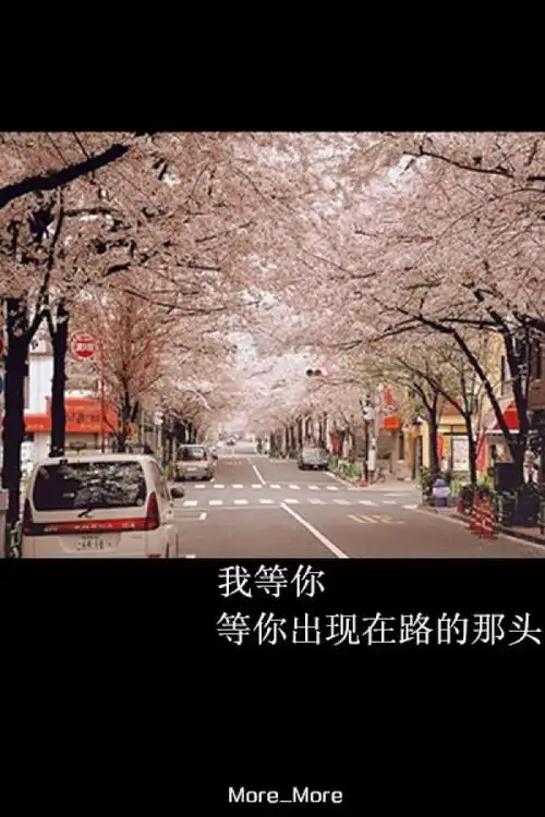 《等你出现在路的那头》/more_more我自制的图片,喜欢的亲故自己抱走