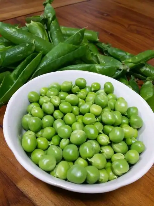 多彩豌豆米(1/5)