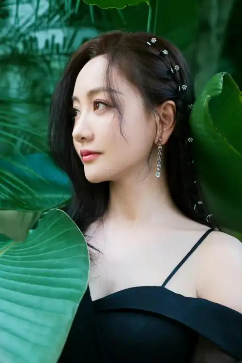 杨蓉最新动态,演艺之路星光闪耀,持续前行