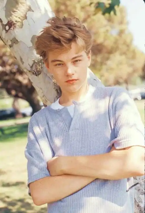 多少人曾爱慕你年轻时的容颜——小李子