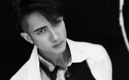 被误以为是中国国籍的男明星,你最喜欢谁_吴尊