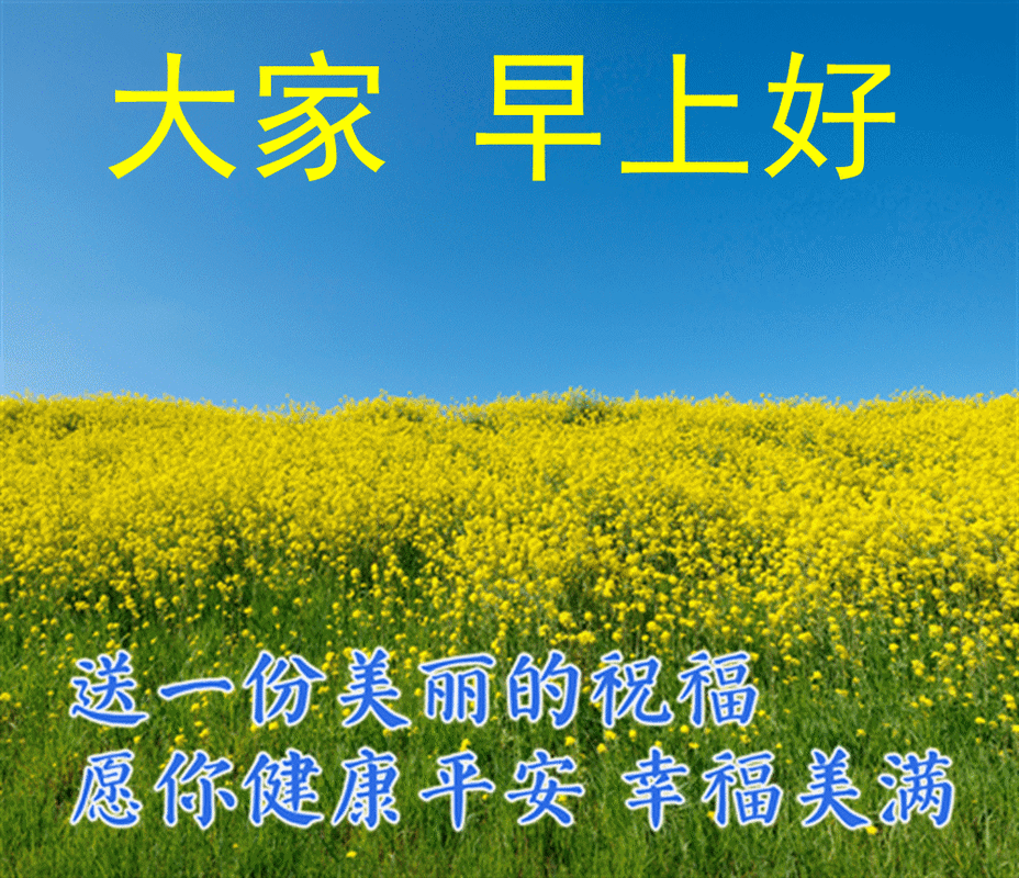 清晨早上好的微信动态表情早上好的微信表情图片