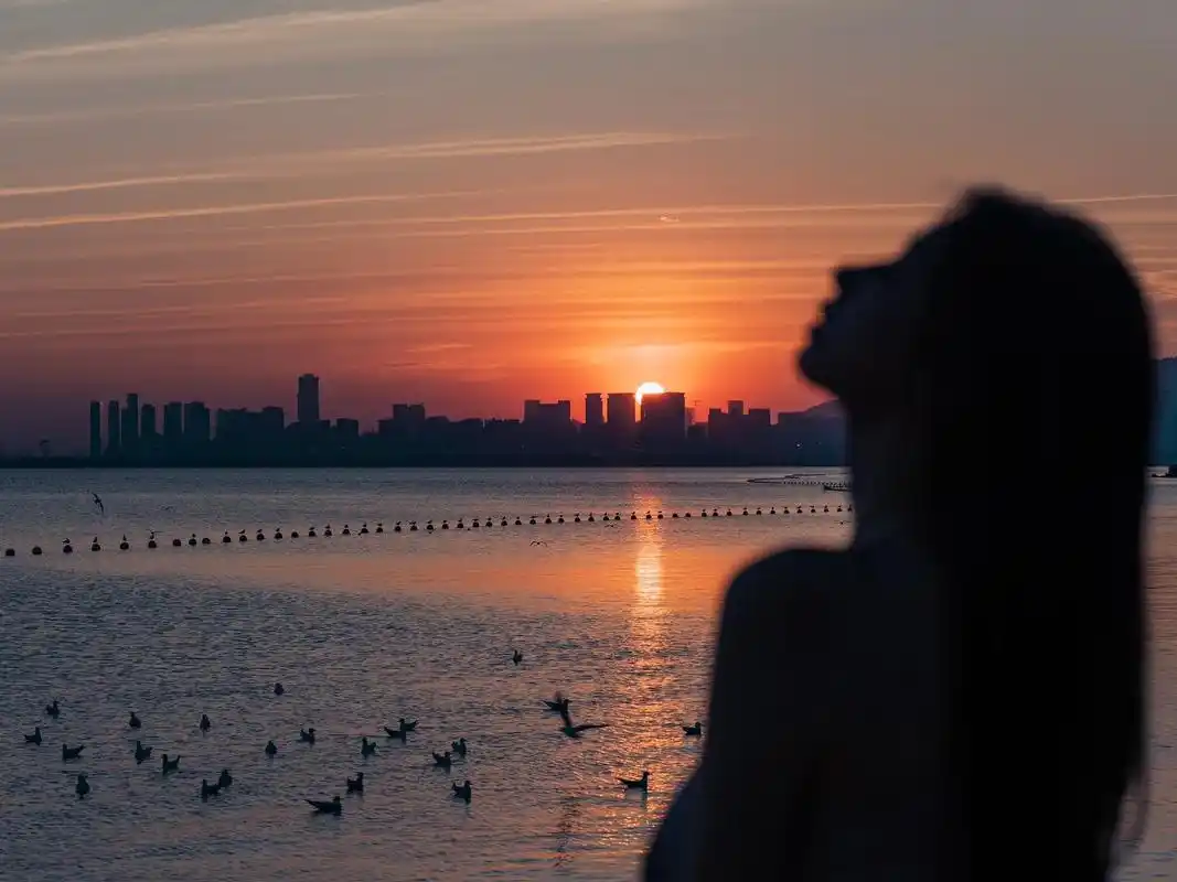 落日和海鸥和我