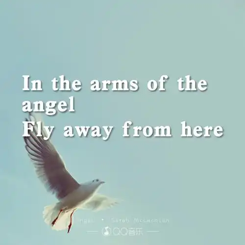 angelsarahmclachlanqq音乐歌词海报