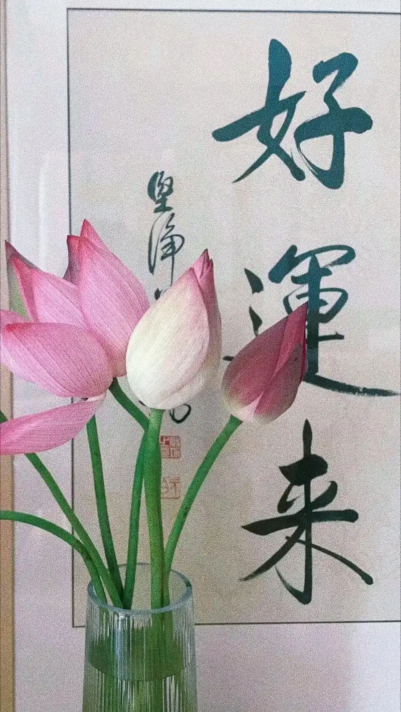 分享一组最近看到的壁纸,最近超喜欢莲花03!#见者好运 #花 - 抖音