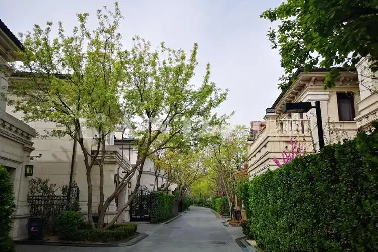 找楼盘  海淀区 西山别墅区 龙湖颐和原著 实景图(53) 效果图(1) 位置