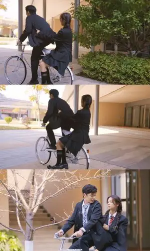 cr图源微博明越夜超话