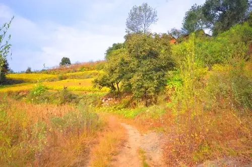 农村大山里秋天的景色