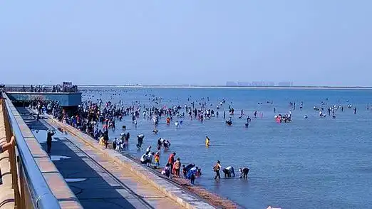 东疆亲海公园游人如织游客尽享观海亲海乐趣