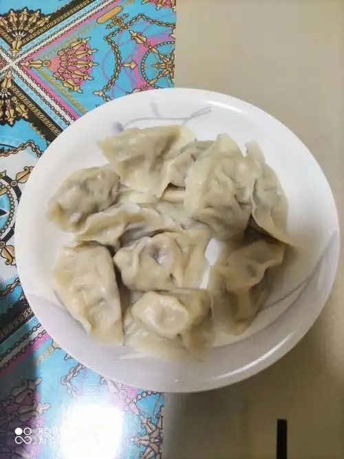 家常馅料记录白瓜馅饺子