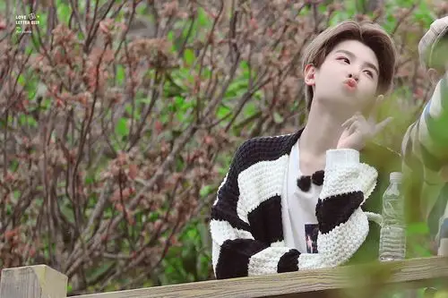 ninepercent黄明昊justin - 堆糖,美图壁纸兴趣社区