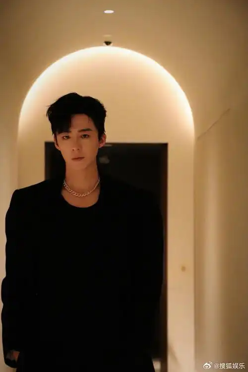 刘宇宁辟谣接触将门毒后##刘宇宁胡意旋 将门毒后