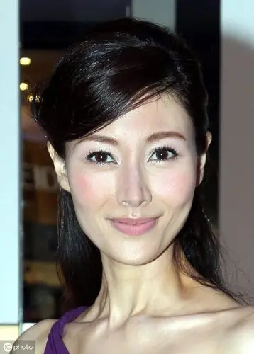 "顶级美人"李嘉欣美照合辑,视觉盛宴-搜狐大视野-搜狐新闻