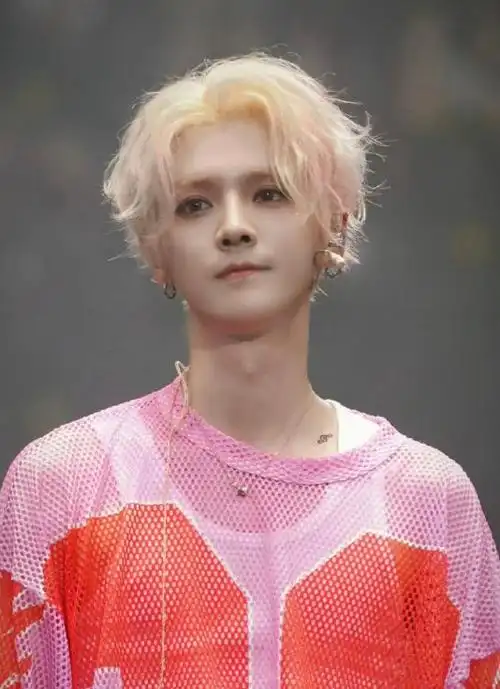 鹿晗在武汉演唱会现身 陈赫也参加亮相|t恤|粉色|乐器|武汉市_网易