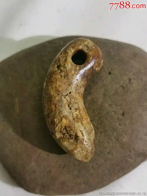 红山文化玉蝉-和田玉-7788收藏