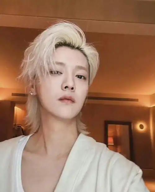 鹿晗银发剪短了