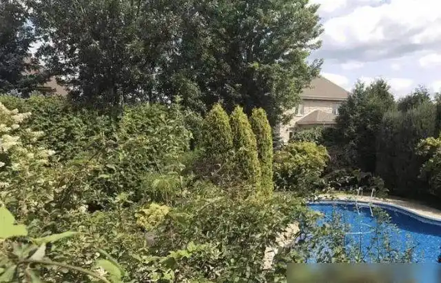 时代少年团严浩翔加拿大的家装修简约不愧是加拿大的男人