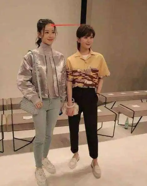 赵丽颖165刘诗诗165高圆圆张柏芝也是165到底是谁谎报身高