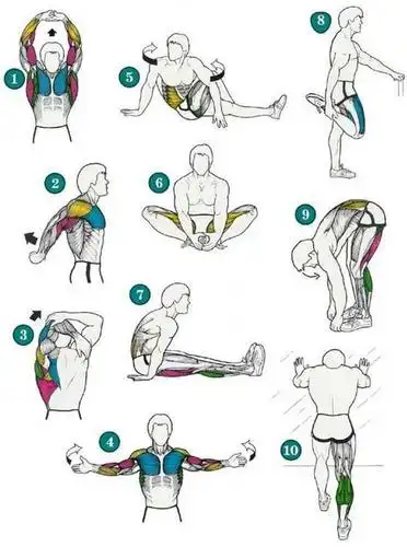 不同的伸展动作,您又有做几多个呢? tags:  亚q达人 q版运动