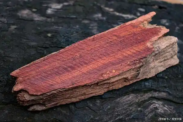 世界上最珍贵的木材品种—:檀香紫檀