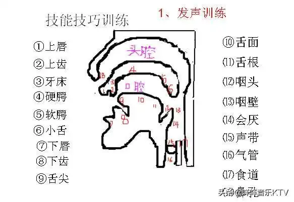 头条问答 - 怎么练嗓子啊,想练唱功?(5个回答)