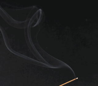 319_281gif 动态图 动图