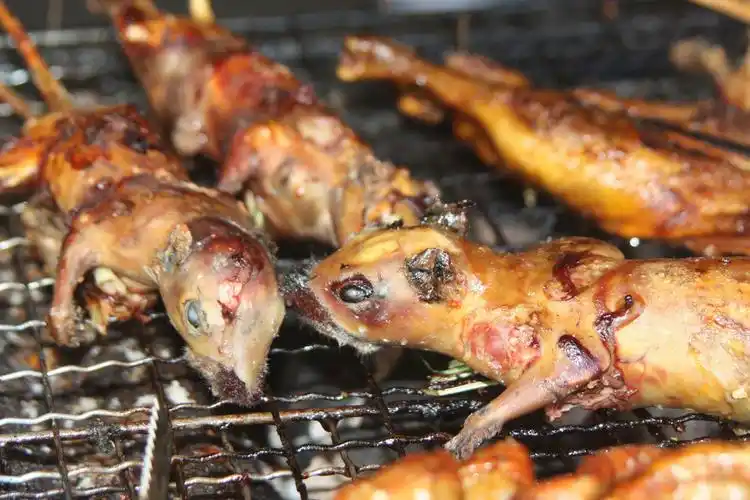 舌尖上的残忍: 老鼠烤着吃 是勇敢还是残忍