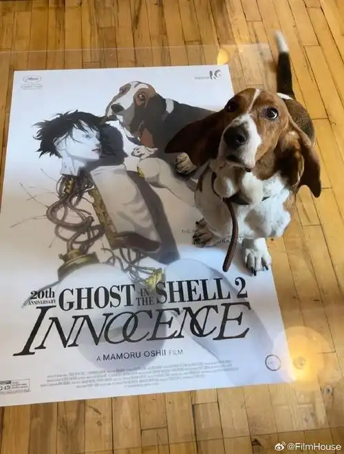 《攻壳机动队2: 无罪》20周年4k修复版将于6月23日至26日重返美国影院