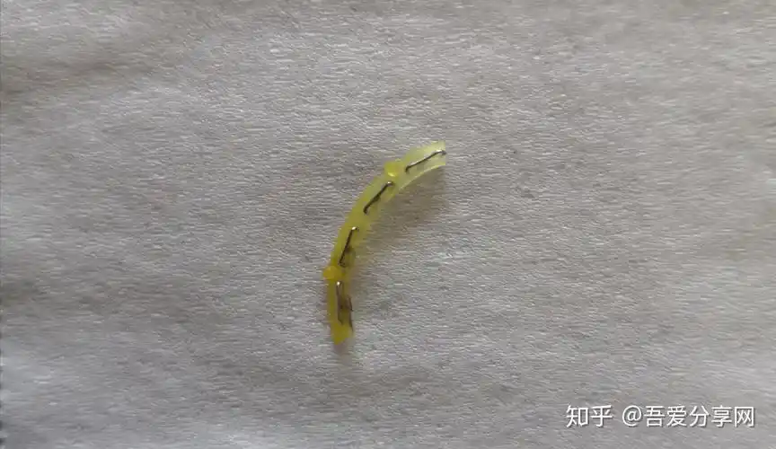 今天起来发现内裤沾了些血渍,但看了下伤口,发现没什么大碍,钉子正在