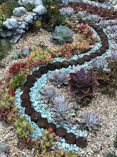 建一个多肉花园