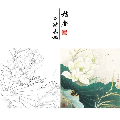 李晓明工笔画白描底稿荷花蜜蜂小品带步骤图用色说明临摹画稿ke04