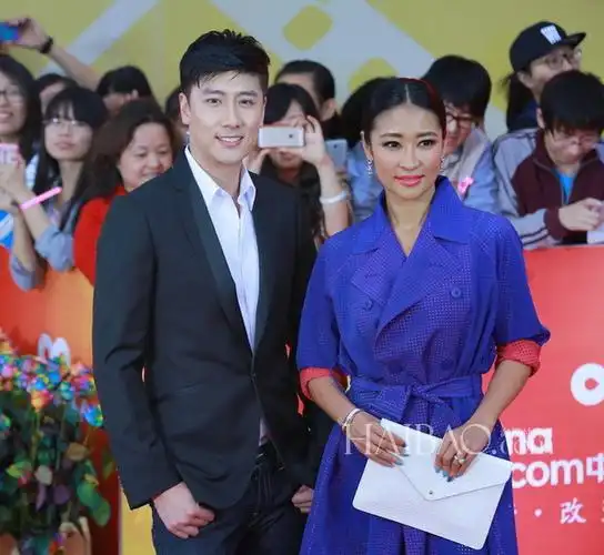 陈司翰,梁静亮相2014年第四届北京国际电影节的闭幕式红毯