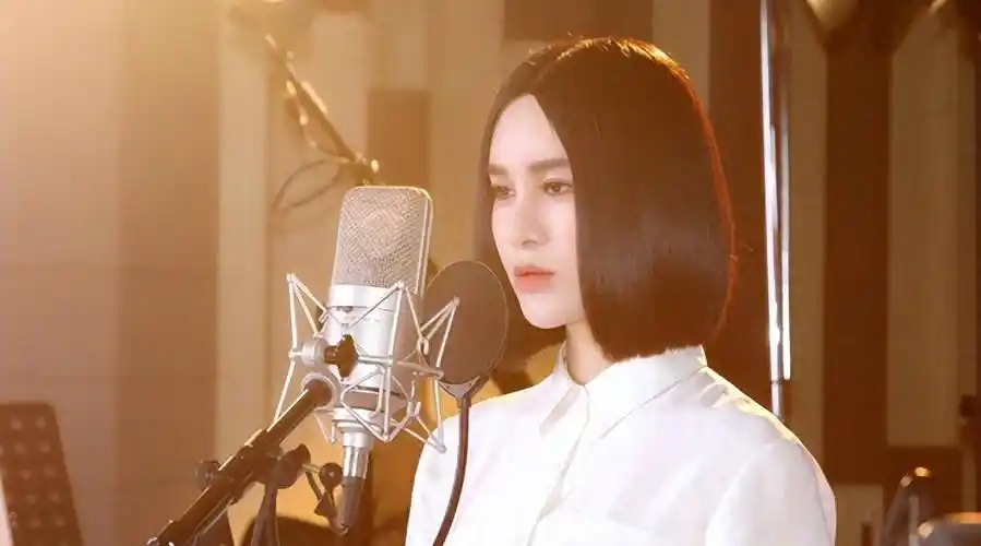 40岁的尚雯婕,终于为自己的"整容"付出了代价_容貌_音乐_明星