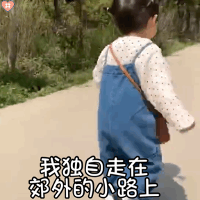 萌娃丸子妹表情包动图我独自走在郊外的小路上
