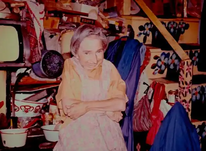 莫娣·刘易斯画出了这个世界的五彩斑斓竟有这样的人拿起了画笔我们很