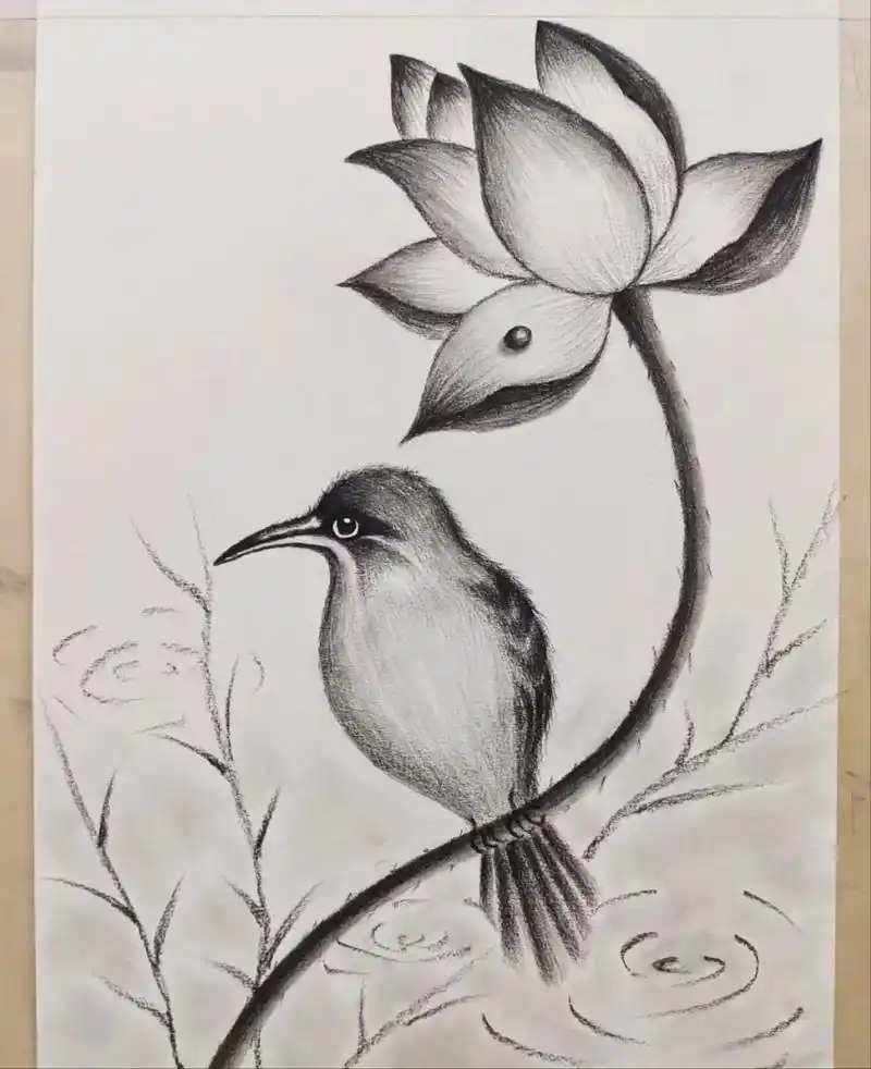 素描鸟临摹作品 #画画 #素描 #一起学画画 #临摹 - 抖音