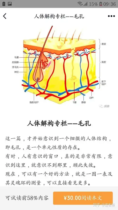 人体解构专栏毛孔