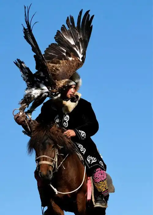 新射雕英雄,世界上最后的猎鹰人?