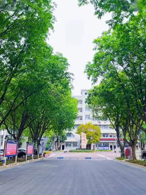 的沥青路;校道由老旧的水泥路最新航拍图中山市第二中学位于黄圃镇内